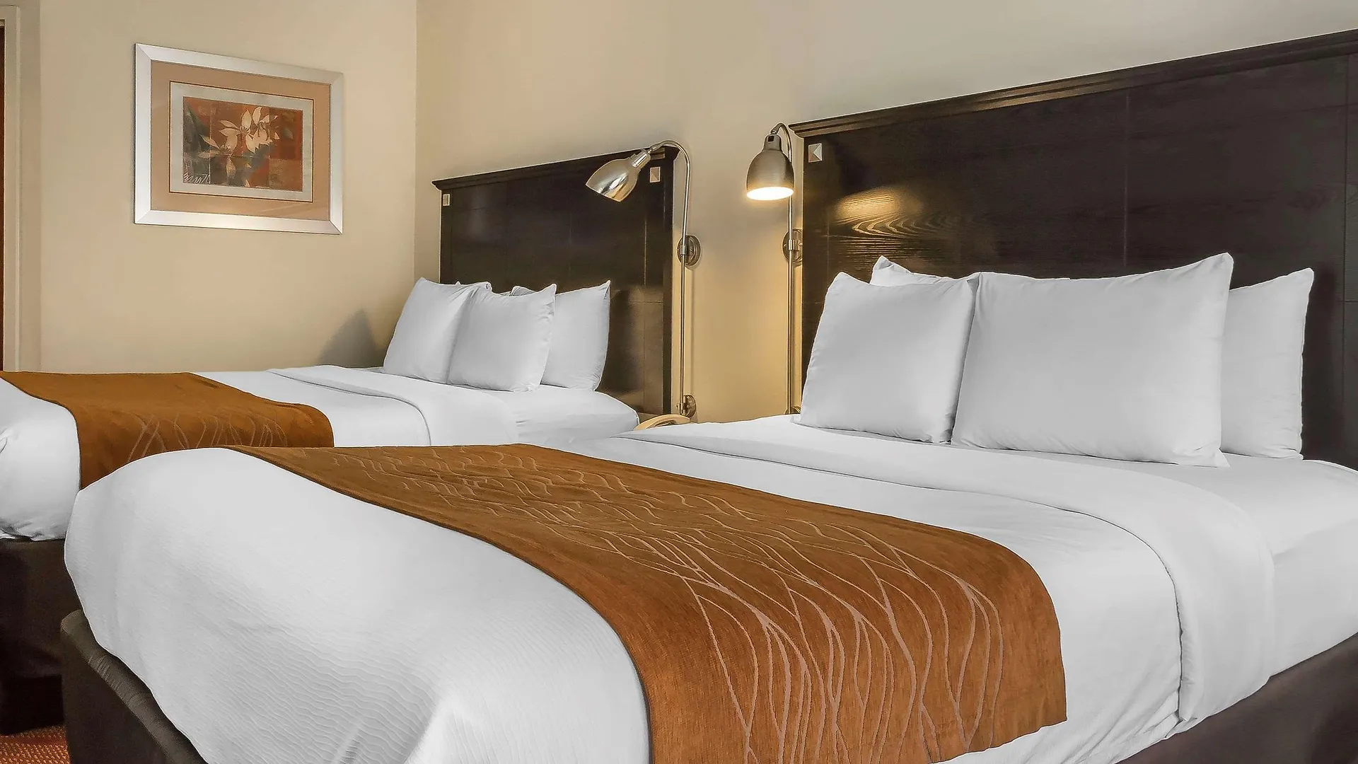 Comfort Inn & Suites Laguardia Airport New York Verenigde Staten